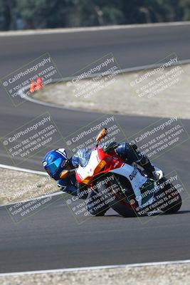 media/Sep-20-2025-TrackDaz (Sat) [[27f0cde673]]/B Group/1020am (Turn 3)/